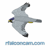 Rfalconcam Ladies' Dark Embroidered Shirt embroidered shirts by rfalconcam Rfalconcam Ladies' Dark Embroidered Shirt embroidered shirts