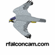 Rfalconcam Ladies'  Light Embroidered Shirt embroidered shirts