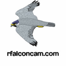 Rfalconcam Light-colored Embroidered Shirt embroidered shirts by rfalconcam Rfalconcam Light-colored Embroidered Shirt embroidered shirts