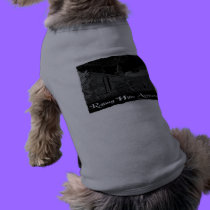 RHA Doggie Shirt - grey pet clothing