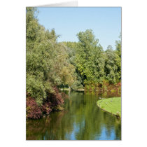Rheinaue Park in Bonn Greeting Cards