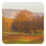 Rheinaue Park Sticker