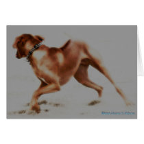 Rhett Art cards