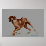 Rhett Art Print