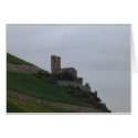 Rhine Castle