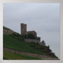 Rhine Castle