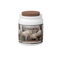 rhino10_12x9 candy jars