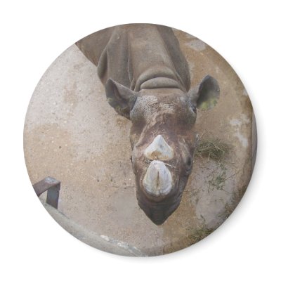 Rhino at the San Antonio Zoo Refrigerator Magnet by kelley13