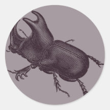 Rhino Beetle, Scarabeus Chorinaeus Round Stickers