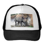 rhino black4x6 trucker hat
