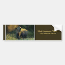 Rhino bumper stickers