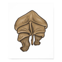rhino butt posters by doonidesignsanimals rhino butt posters