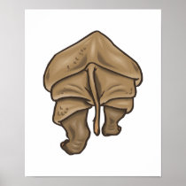 rhino butt print