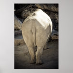 Rhino Butt posters