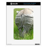 Rhino Butt Samsung Galaxy Tab Skins