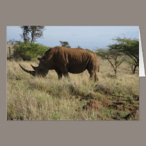 Rhino cards