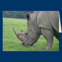 Rhino cards