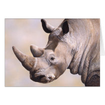 Rhino Card by Laura_Regan_Artist Rhino Card