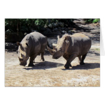 Rhino Card cards