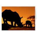 rhino family cards