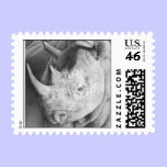 Rhino Fine Art Postage stamps