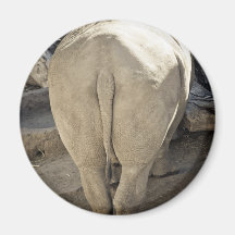 Rhino Fridge Magnet