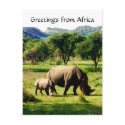 rhino greetings postcards by cardart rhino greetings postcards