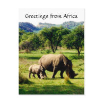 rhino greetings postcards