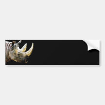 Rhino Head, Black Background Bumper Stickers