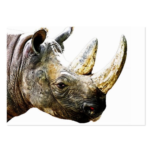 Rhino Head, White Background Business Card (front side)