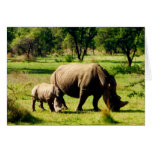 rhino love greeting card rhino love greeting card