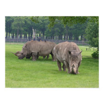 Rhino Mania posters by silentwatcher Rhino Mania posters