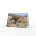 Rhino mom & baby cards by spuga2000 Rhino mom & baby cards