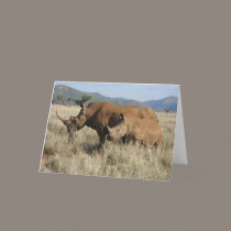Rhino mom & baby cards