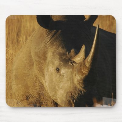 Rhino Pads