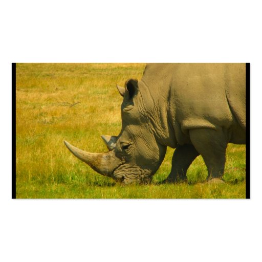 Rhino Photo Business Card (back side)
