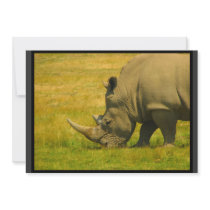 Rhino Photo Invitation