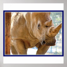 Rhino Poster