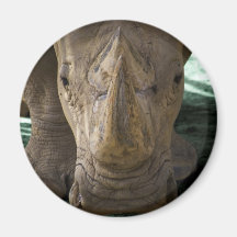 Rhino Refrigerator Magnets