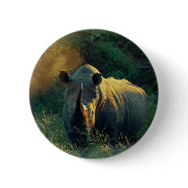 Rhino stare button