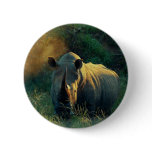 Rhino stare button