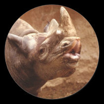 Rhino sticker