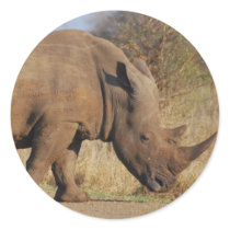 Rhino Sticker