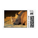 Rhino Sunset postage by Texassulcatas Rhino Sunset postage