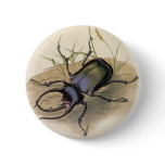 Rhinoceros Beetle Pinback Buttons