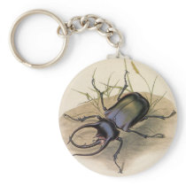 Rhinoceros Beetle keychains