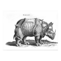 Rhinoceros, from 'Historia Animalium' posters