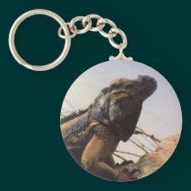 Rhinoceros Iguana keychains
