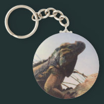 Rhinoceros Iguana keychains