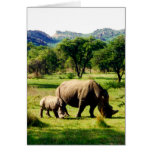 rhinos greeting cards